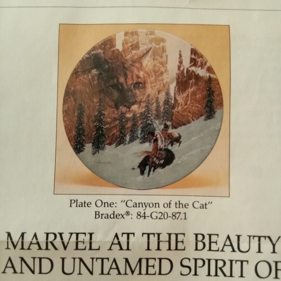 Vintage Bradford exchange 1992 canyon of the cat collector's plate - Picture 6 of 8